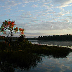 фото "September Morning"