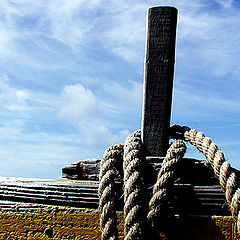 photo "Rope"