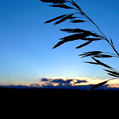 photo "Prairie Peace"