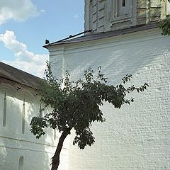 photo "In a shadow monastic walls"