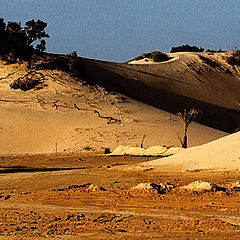 фото "Dunes 4"