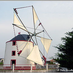 photo "Windmill"