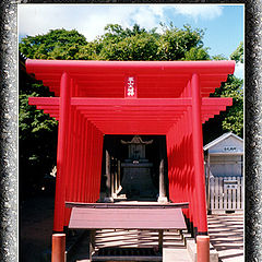 photo "Torii Gate"