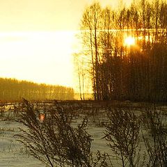 photo "Winter morning"