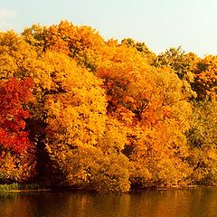 photo "Autumnal palette"