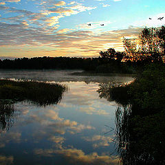 photo "Whisper the Dawn"