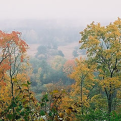 photo "Autum landscape"