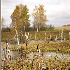 photo "Pond in past"