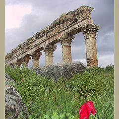 photo "Growing in and out of the Earth..."