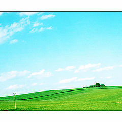 photo "Green field"