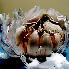 photo "Garlic Flower"