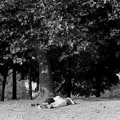 фото "corpses"