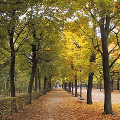 фото "Autumn Park"