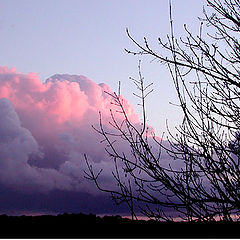 photo "red cloud"