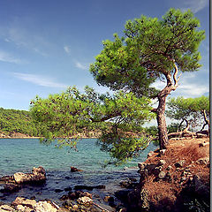 photo "Turkey a landscape"