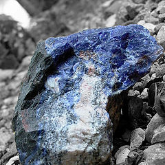 photo "A Gem Among Stones"