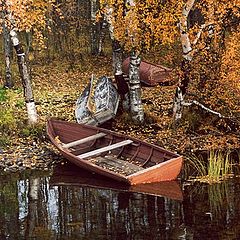 photo "Autumn in Karelia"