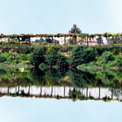 photo "The wine and the mirrors"