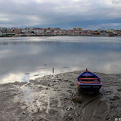 photo "Low tide .."