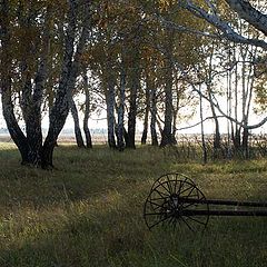 фото "На закате дня"