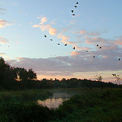 photo "Flight to Glory"