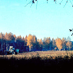 photo "OCTOBER"