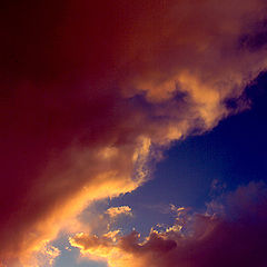photo "Tropical Sky"