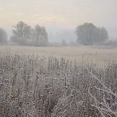 photo "The turned grey morning"