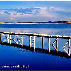 фото "FLOWERLAKE 2"
