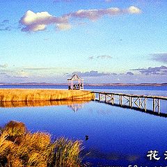фото "FLOWERLAKE 3"