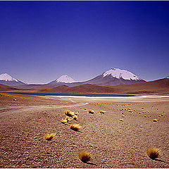 photo "Desert of Atacama"