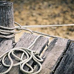 photo "Mooring cables"