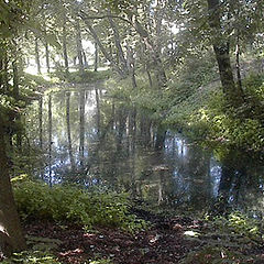 photo "Enchanted Mirror"