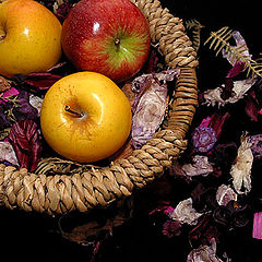 фото "Apples"