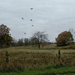 photo "Autumn Fades"