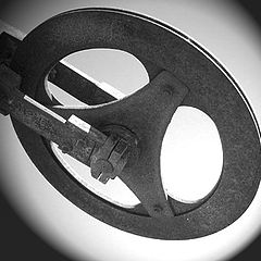 photo "Circle"