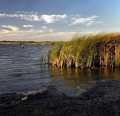 photo "Windy end of the day"