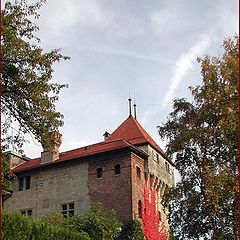 фото "Пламенеющая осень. Лозанна, Швейцария."