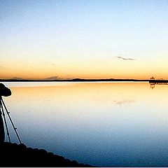 photo "My friend in Flowerlake"