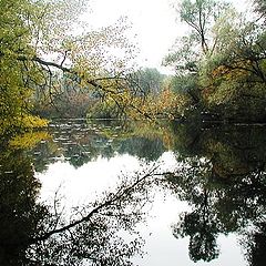 фото "Осенний Днепр"