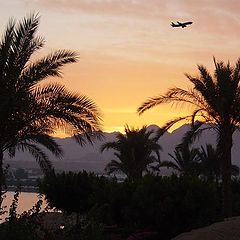 photo "Welcome in Sharm-El-Sheikh!"