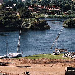 photo "By the Nile"