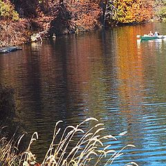 photo "Through the Painted Waters"