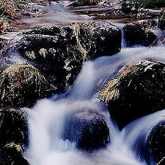 фото ""Stream of life...""