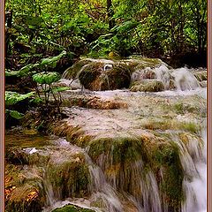 photo "From the series "World of the falling water""