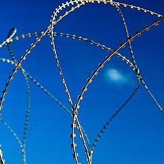 photo "Composition with barbed wire and sky"