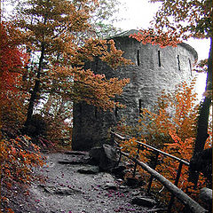 photo "On the way of the autumn guards. Switzerland, Rhon"