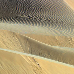 фото "Sand Dune # 5"