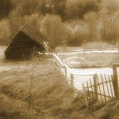 photo "Shed"