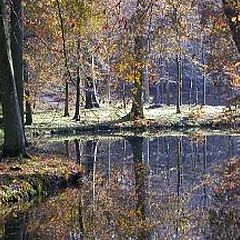 фото "Autumn in Elswout"